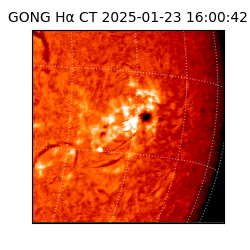 gong - 2025-01-23T16:00:42
