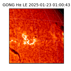 gong - 2025-01-23T01:00:43