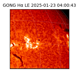 gong - 2025-01-23T04:00:43