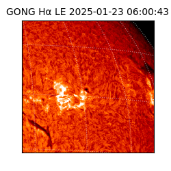 gong - 2025-01-23T06:00:43