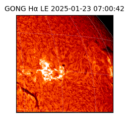 gong - 2025-01-23T07:00:42