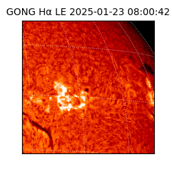 gong - 2025-01-23T08:00:42