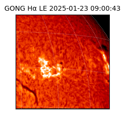 gong - 2025-01-23T09:00:43