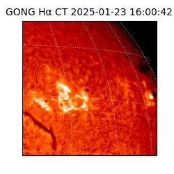 gong - 2025-01-23T16:00:42
