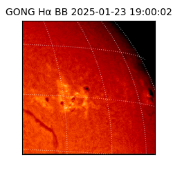 gong - 2025-01-23T19:00:02