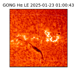 gong - 2025-01-23T01:00:43