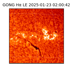 gong - 2025-01-23T02:00:42