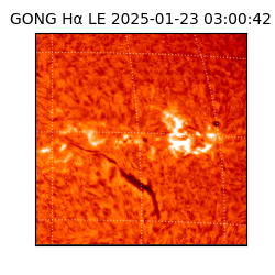 gong - 2025-01-23T03:00:42