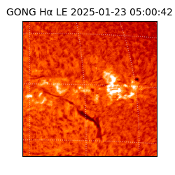 gong - 2025-01-23T05:00:42