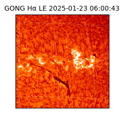 gong - 2025-01-23T06:00:43