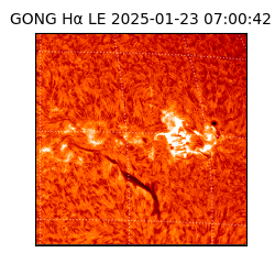 gong - 2025-01-23T07:00:42