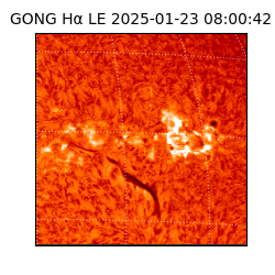 gong - 2025-01-23T08:00:42