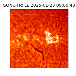 gong - 2025-01-23T09:00:43