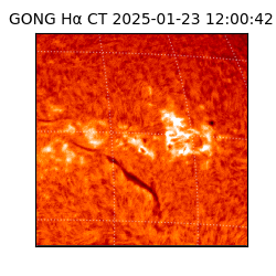 gong - 2025-01-23T12:00:42