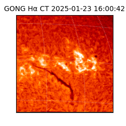 gong - 2025-01-23T16:00:42