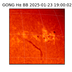 gong - 2025-01-23T19:00:02