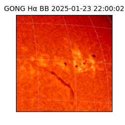 gong - 2025-01-23T22:00:02