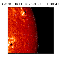 gong - 2025-01-23T01:00:43
