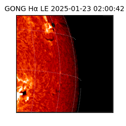 gong - 2025-01-23T02:00:42
