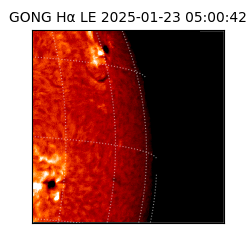 gong - 2025-01-23T05:00:42