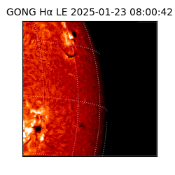gong - 2025-01-23T08:00:42