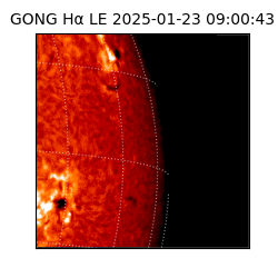 gong - 2025-01-23T09:00:43