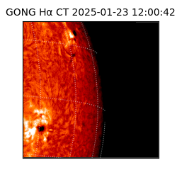 gong - 2025-01-23T12:00:42