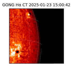 gong - 2025-01-23T15:00:42