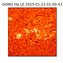 gong - 2025-01-23T01:00:43