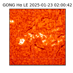 gong - 2025-01-23T02:00:42