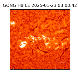 gong - 2025-01-23T03:00:42