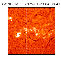 gong - 2025-01-23T04:00:43