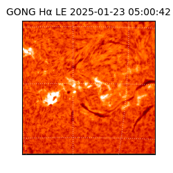 gong - 2025-01-23T05:00:42