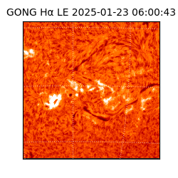 gong - 2025-01-23T06:00:43