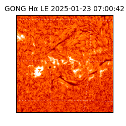 gong - 2025-01-23T07:00:42