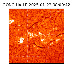 gong - 2025-01-23T08:00:42