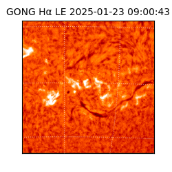 gong - 2025-01-23T09:00:43