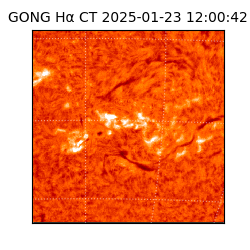gong - 2025-01-23T12:00:42