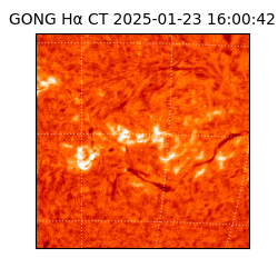 gong - 2025-01-23T16:00:42