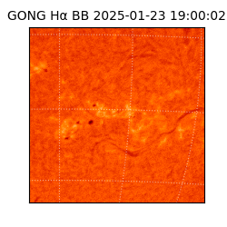 gong - 2025-01-23T19:00:02