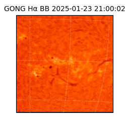 gong - 2025-01-23T21:00:02