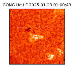 gong - 2025-01-23T01:00:43