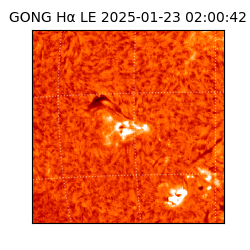 gong - 2025-01-23T02:00:42