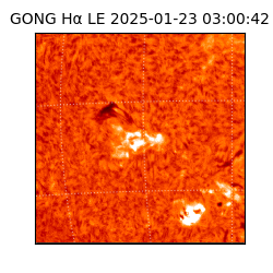 gong - 2025-01-23T03:00:42