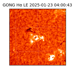 gong - 2025-01-23T04:00:43