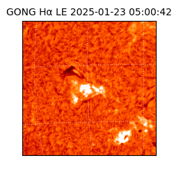 gong - 2025-01-23T05:00:42