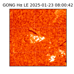 gong - 2025-01-23T08:00:42