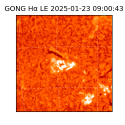 gong - 2025-01-23T09:00:43