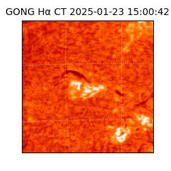 gong - 2025-01-23T15:00:42