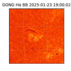 gong - 2025-01-23T19:00:02